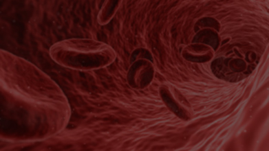Гемостаз: между кровоизлиянием и тромбозом